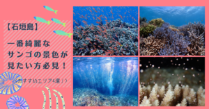 【石垣島】一番綺麗なサンゴの景色が見たい方必見！〈おすすめエリア4選〉